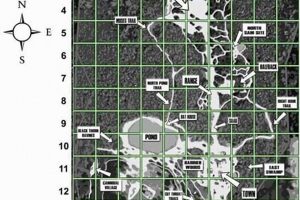 Find Local Airsoft Fields Near You | [City Name] | Ultimate Airsoft Guide for Beginners, Tactics & Gear Reviews