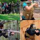 Best Airsoft: Places to Play Airsoft Near Me, Ranked! | Ultimate Airsoft Guide for Beginners, Tactics & Gear Reviews