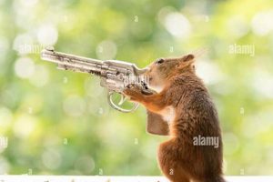 Best Airsoft Gun for Squirrels? + Alternatives | Ultimate Airsoft Guide for Beginners, Tactics & Gear Reviews
