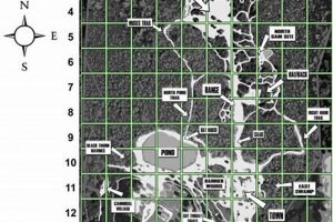 Ballahack Airsoft Map: Dominate The Airsoft Field! | Ultimate Airsoft Guide for Beginners, Tactics & Gear Reviews