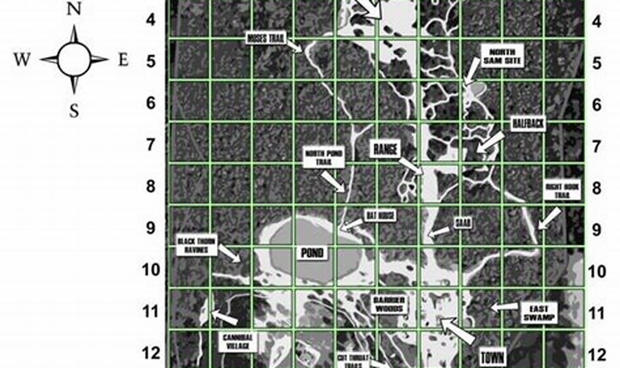Ballahack Airsoft Map: Dominate The Airsoft Field! | Ultimate Airsoft Guide for Beginners, Tactics & Gear Reviews