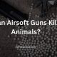 Airsoft Safety: Can Airsoft Guns Really Kill Animals? Guide | Ultimate Airsoft Guide for Beginners, Tactics & Gear Reviews