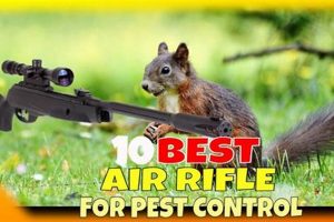 Top Rated Best Airsoft Gun for Pest Control - [Year] Guide | Ultimate Airsoft Guide for Beginners, Tactics & Gear Reviews