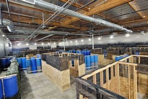 Your Guide to Airsoft Sacramento: Fields & More! | Ultimate Airsoft Guide for Beginners, Tactics & Gear Reviews