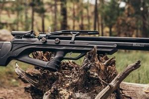 Airsoft Gun Pest Control: Is It Right? & Effects | Ultimate Airsoft Guide for Beginners, Tactics & Gear Reviews