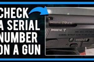 Airsoft Gun Lookup: Trace Your Airsoft Gun Now! | Ultimate Airsoft Guide for Beginners, Tactics & Gear Reviews