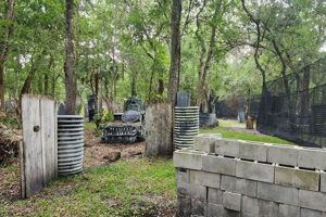 Play Airsoft in Orlando, FL: Fields, Teams & More! | Ultimate Airsoft Guide for Beginners, Tactics & Gear Reviews