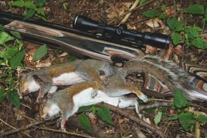 Is Airsoft Gun Shooting Squirrels Legal? [Guide] | Ultimate Airsoft Guide for Beginners, Tactics & Gear Reviews