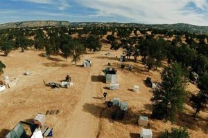 Conquer Hill 559: Airsoft Field Domination! Ultimate Airsoft Guide for Beginners, Tactics & Gear Reviews Conquer Hill 559: Airsoft Field Domination! | Ultimate Airsoft Guide for Beginners, Tactics & Gear Reviews