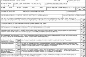 NJ Airsoft Guns: How to Get an Airsoft Gun Permit in NJ Legally | Ultimate Airsoft Guide for Beginners, Tactics & Gear Reviews