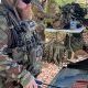 Discover Airsoft Tennessee: Fields & Gameplay Near You! | Ultimate Airsoft Guide for Beginners, Tactics & Gear Reviews